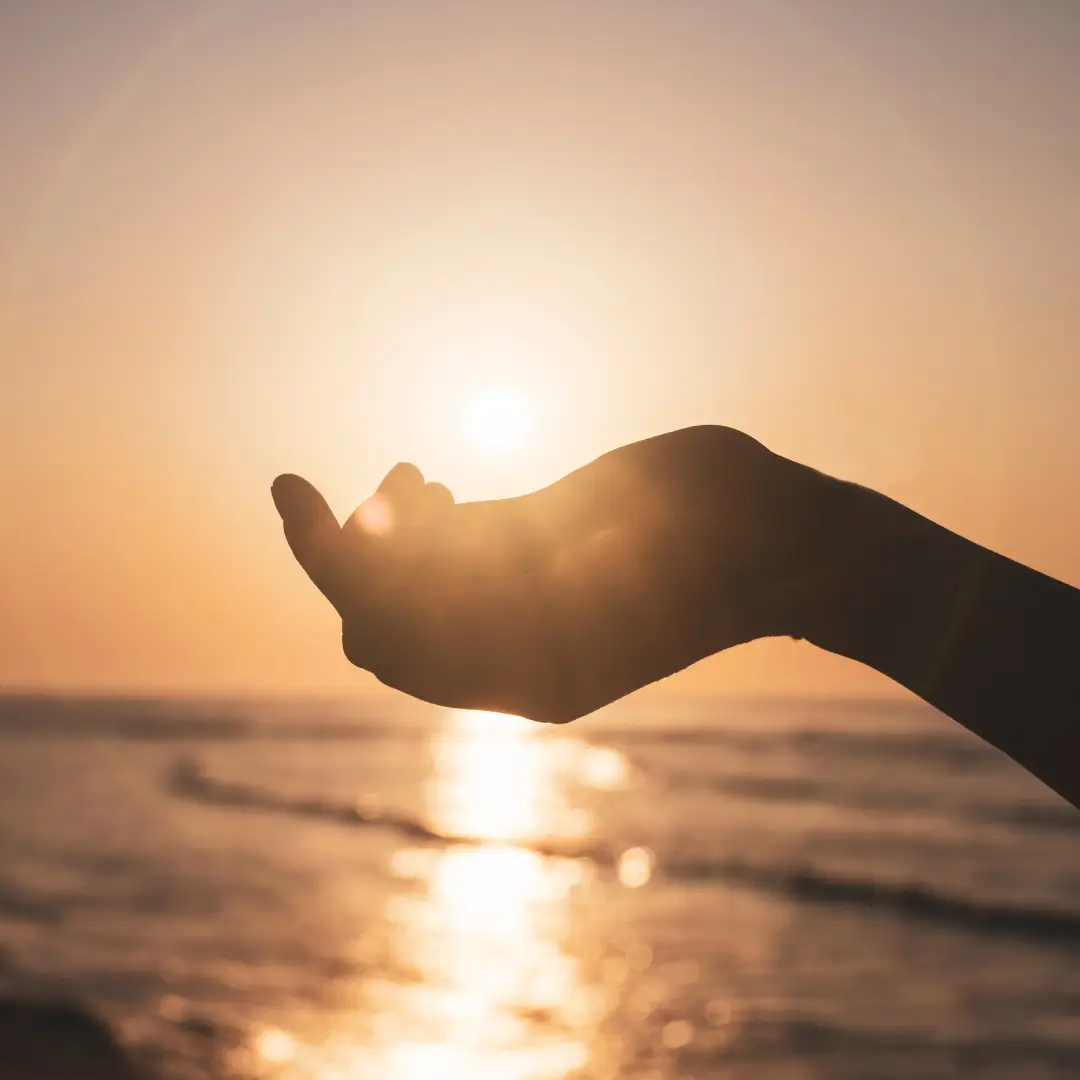 Program-Reparent-You-img